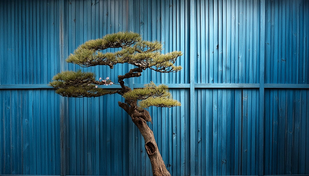 Image de couverture de Maikkom